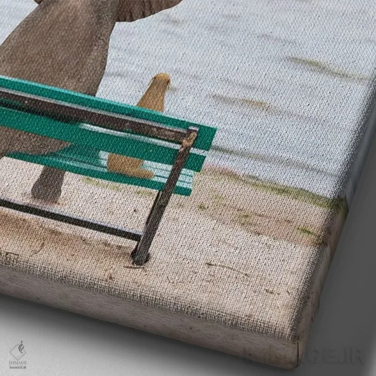 تابلو دکوراتیو فیل و سگ روی نیمکت کنار دریا نشسته اند ۲ اثر مایک کیف - نمای نزدیک بافت بوم