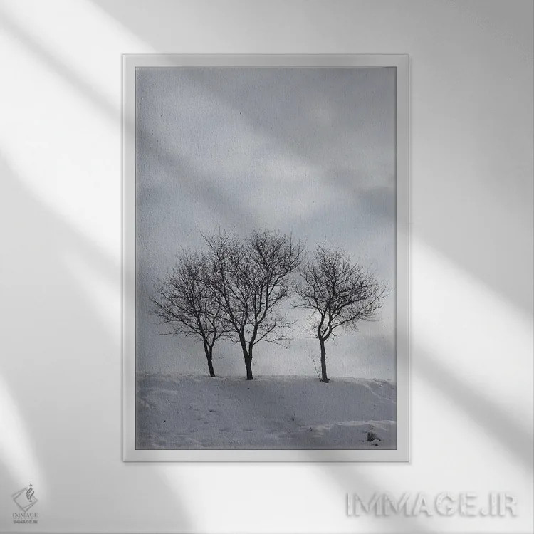 تابلو دکوراتیو سه درخت بدون برگ روی تپه ای برفی اثر مایک کیف - نمای قابدار سفید