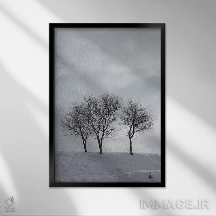 تابلو دکوراتیو سه درخت بدون برگ روی تپه ای برفی اثر مایک کیف - نمای قابدار مشکی