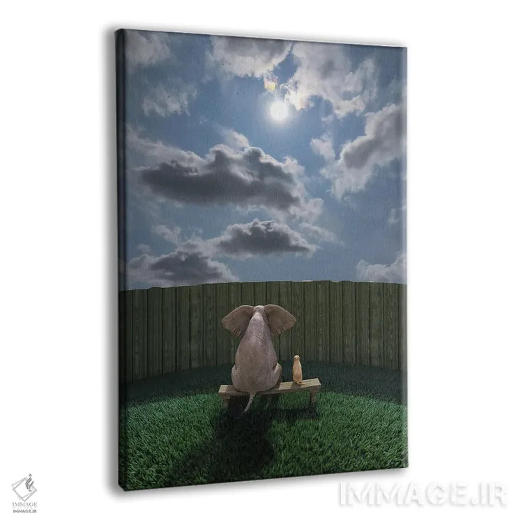 تابلو دکوراتیو فیل و سگ کنار حصار نشسته و به آسمان نگاه می کنند اثر مایک کیف - نمای پرسپکتیو محصول