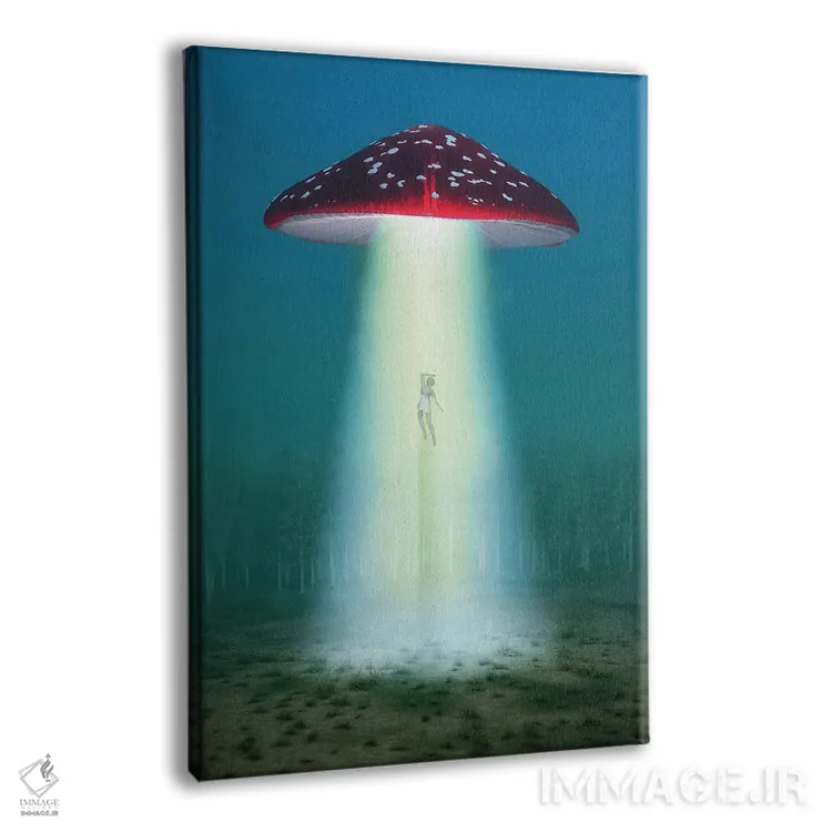 تابلو دکوراتیو قارچ توهم زا پرنده در شب زنی را می رباید اثر مایک کیف - نمای پرسپکتیو محصول