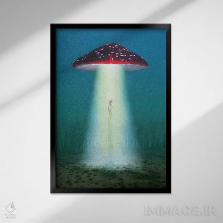 تابلو دکوراتیو قارچ توهم زا پرنده در شب زنی را می رباید اثر مایک کیف - نمای قابدار مشکی