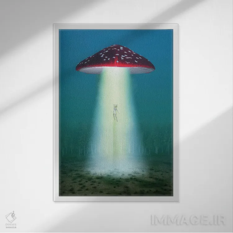 تابلو دکوراتیو قارچ توهم زا پرنده در شب زنی را می رباید اثر مایک کیف - نمای قابدار سفید