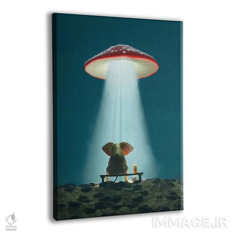 تابلو دکوراتیو فیل و سگ به قارچ پرنده نگاه می کنند اثر مایک کیف - نمای پرسپکتیو محصول