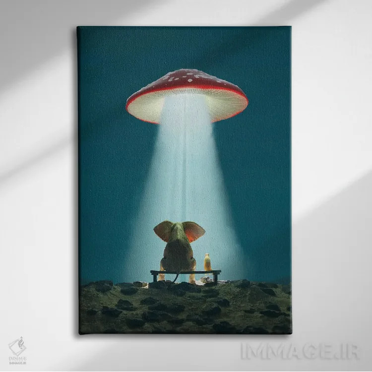 تابلو دکوراتیو فیل و سگ به قارچ پرنده نگاه می کنند اثر مایک کیف - نمای روبهرو روی دیوار