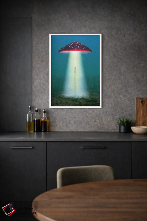 تابلو دکوراتیو قارچ توهم زا پرنده در شب زنی را می رباید اثر مایک کیف - D1W