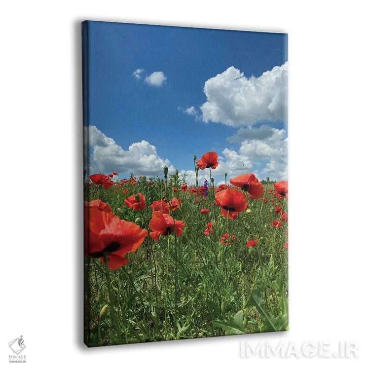 تابلو دکوراتیو شقایق های قرمز وحشی روی مزرعه ۳ اثر مایک کیف - نمای پرسپکتیو محصول