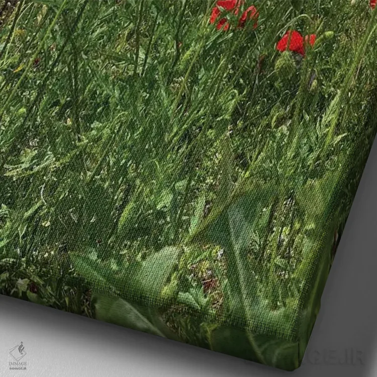 تابلو دکوراتیو شقایق های قرمز وحشی روی مزرعه ۳ اثر مایک کیف - نمای نزدیک بافت بوم