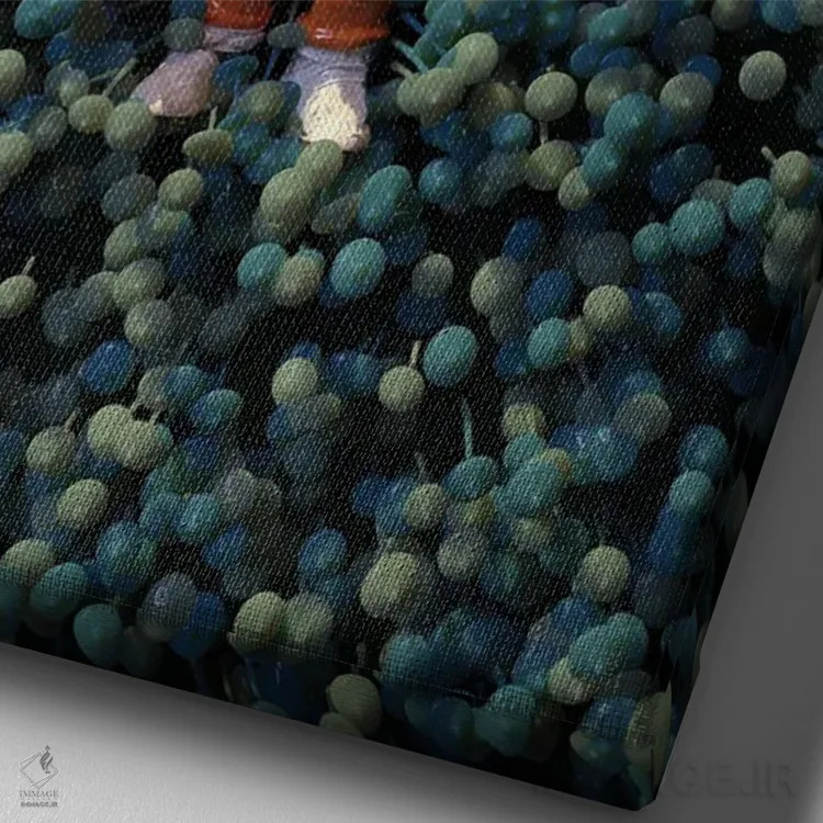 تابلو دکوراتیو فضانورد در حال دراز کشیدن میان قارچ ها اثر مایک کیف - نمای نزدیک بافت بوم