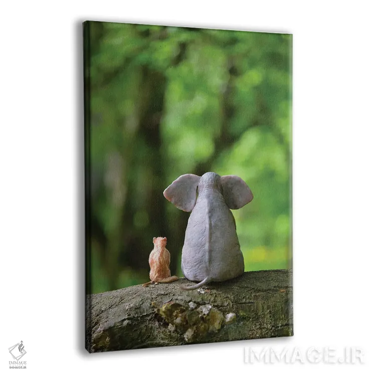 تابلو دکوراتیو فیل و سگ در جنگل نشسته اند اثر مایک کیف - نمای پرسپکتیو محصول