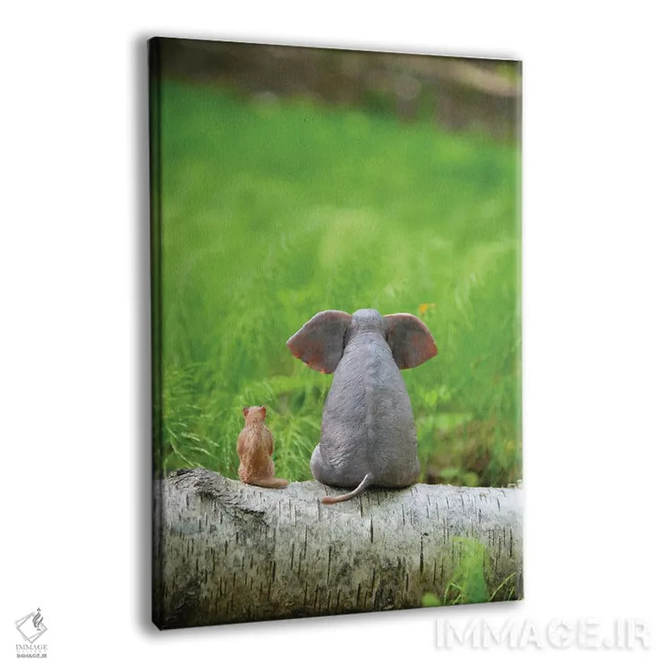 تابلو دکوراتیو فیل و سگ روی چمنزار سبز نشسته اند اثر مایک کیف - نمای پرسپکتیو محصول