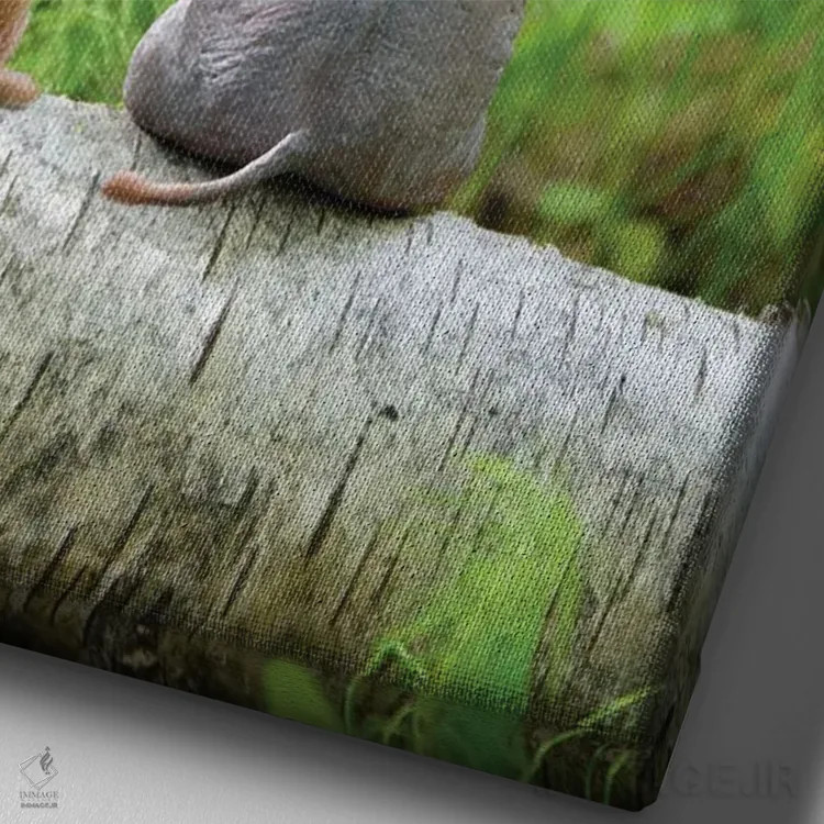 تابلو دکوراتیو فیل و سگ روی چمنزار سبز نشسته اند اثر مایک کیف - نمای نزدیک بافت بوم