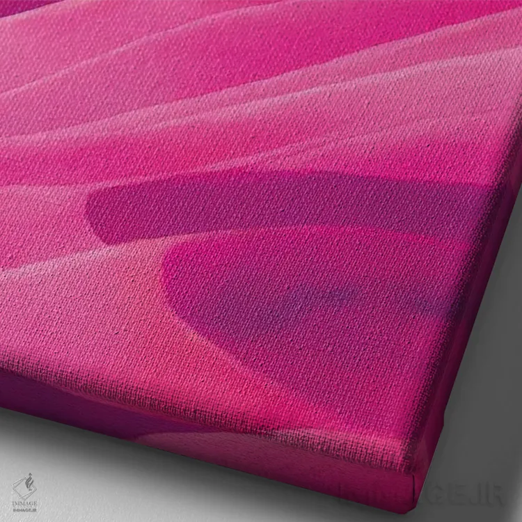 تابلو دکوراتیو بیابان صورتی اثر مایک کیف - نمای نزدیک بافت بوم