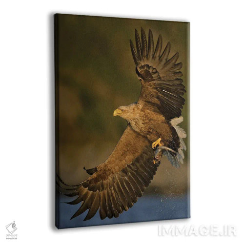 تابلو دکوراتیو عقاب نروژ ۱ اثر میگل لاسا - نمای پرسپکتیو محصول