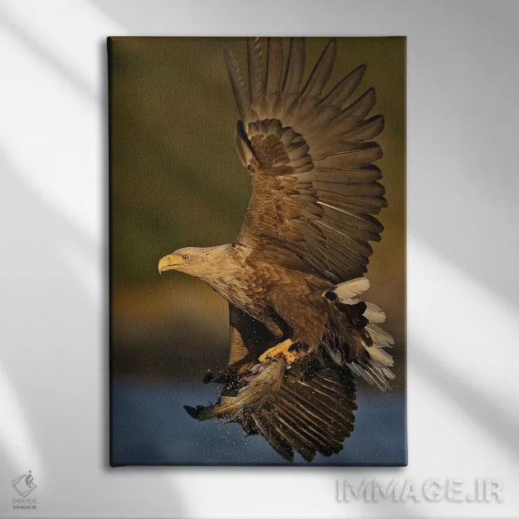 تابلو دکوراتیو عقاب نروژ ۲ اثر میگل لاسا - نمای روبهرو روی دیوار