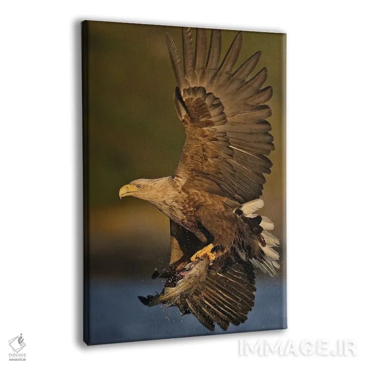 تابلو دکوراتیو عقاب نروژ ۲ اثر میگل لاسا - نمای پرسپکتیو محصول