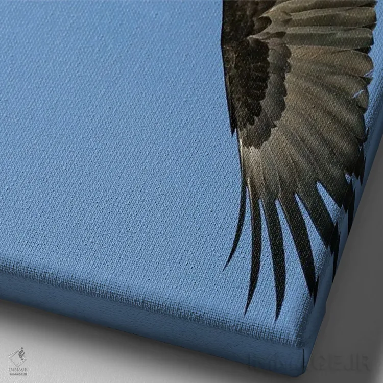 تابلو دکوراتیو عقاب آلاسکا ۳ اثر میگل لاسا - نمای نزدیک بافت بوم