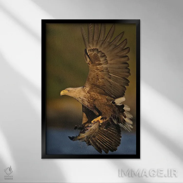 تابلو دکوراتیو عقاب نروژ ۲ اثر میگل لاسا - نمای قابدار مشکی
