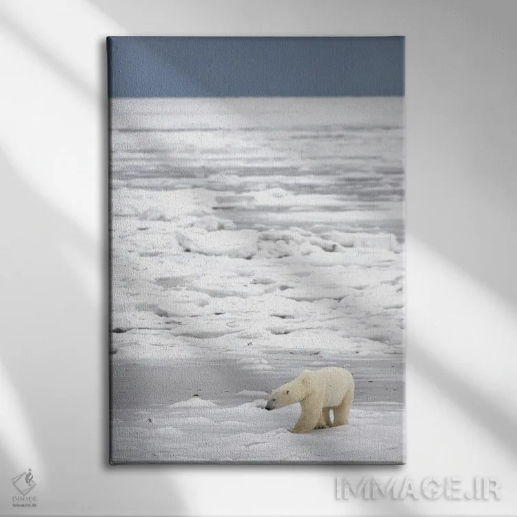 تابلو دکوراتیو خرس های قطبی کانادا ۲۱ اثر میگل لاسا - نمای روبهرو روی دیوار
