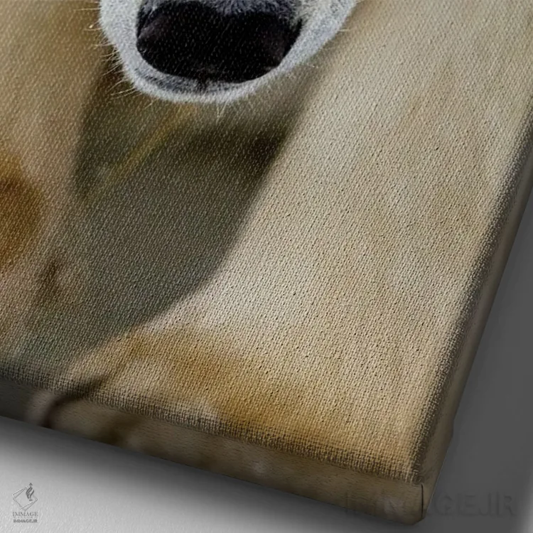 تابلو دکوراتیو خرس های قطبی کانادا ۵۳ اثر میگل لاسا - نمای نزدیک بافت بوم