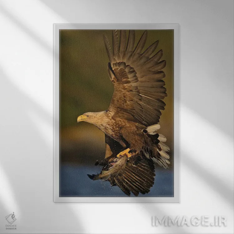 تابلو دکوراتیو عقاب نروژ ۲ اثر میگل لاسا - نمای قابدار سفید