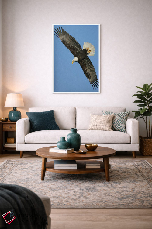تابلو دکوراتیو عقاب آلاسکا ۳ اثر میگل لاسا - D2W