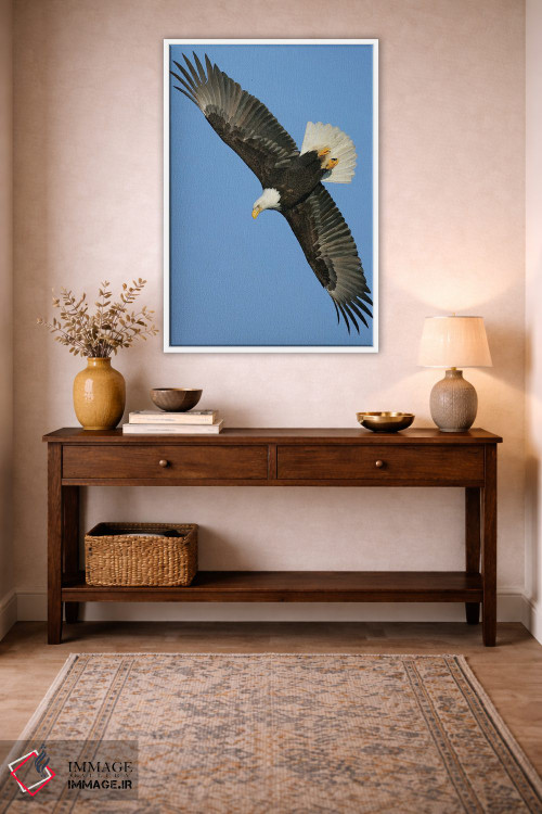 تابلو دکوراتیو عقاب آلاسکا ۳ اثر میگل لاسا - D1W