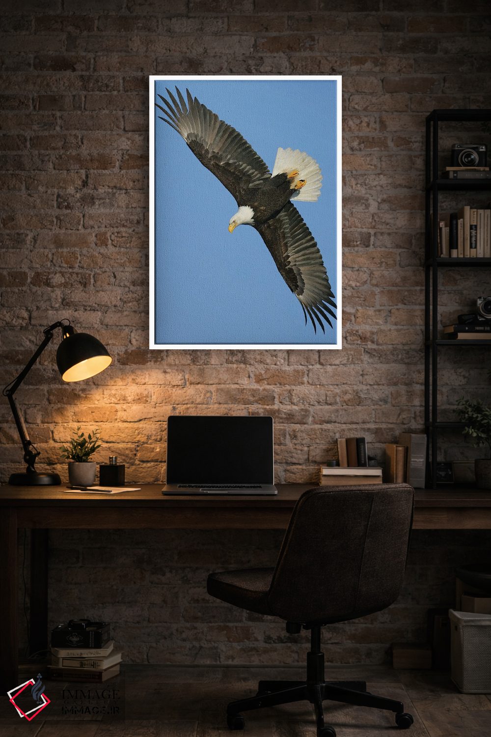 تابلو دکوراتیو عقاب آلاسکا ۳ اثر میگل لاسا - D3W