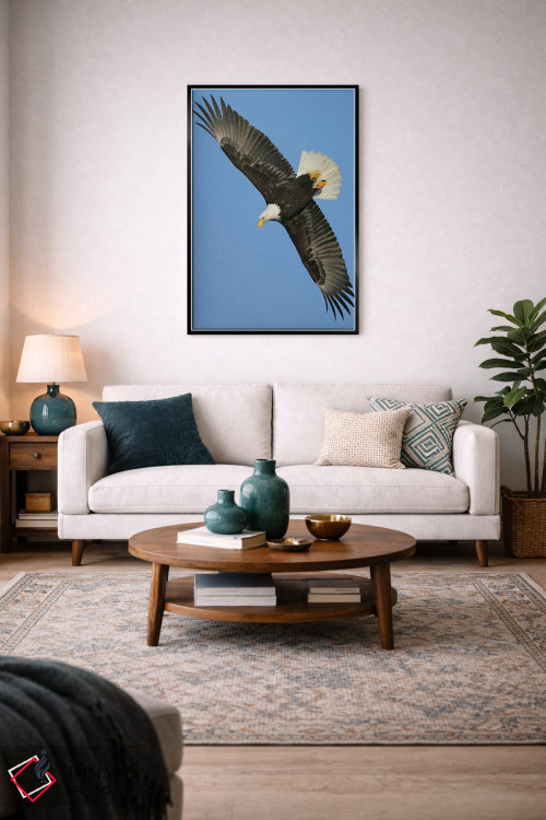 تابلو دکوراتیو عقاب آلاسکا ۳ اثر میگل لاسا - D4B