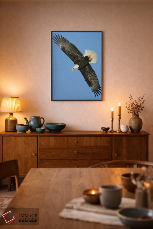تابلو دکوراتیو عقاب آلاسکا ۳ اثر میگل لاسا - D6B