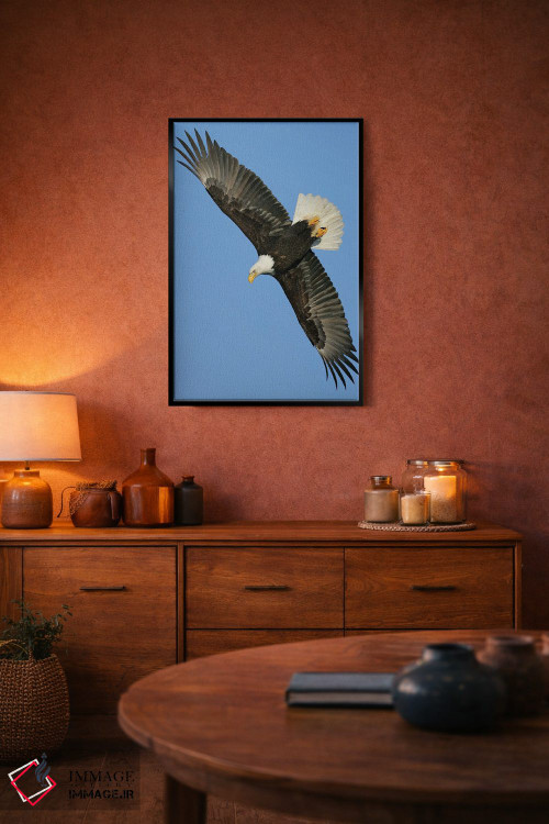 تابلو دکوراتیو عقاب آلاسکا ۳ اثر میگل لاسا - D5B