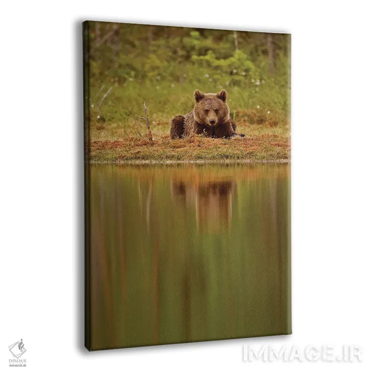 تابلو دکوراتیو خرس ها فنلاند ۶ اثر میگل لاسا - نمای پرسپکتیو محصول