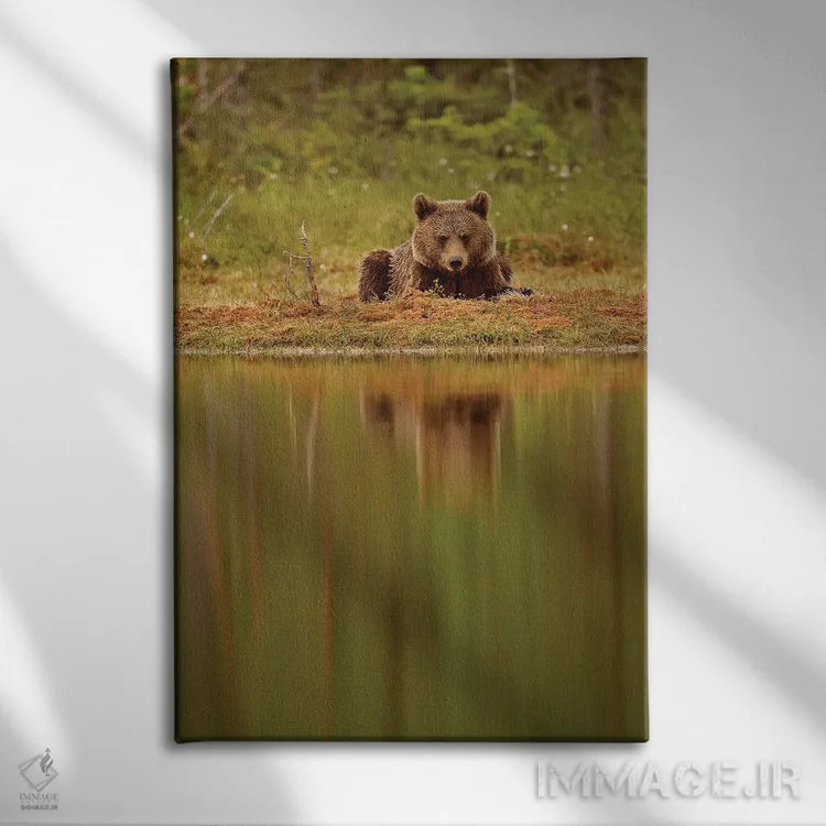 تابلو دکوراتیو خرس ها فنلاند ۶ اثر میگل لاسا - نمای روبهرو روی دیوار