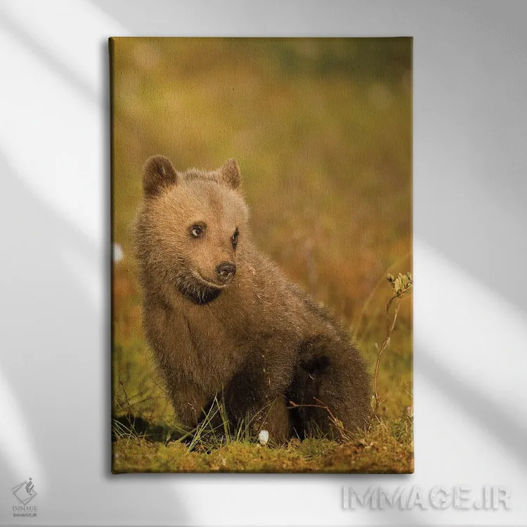 تابلو دکوراتیو خرس ها فنلاند ۳ اثر میگل لاسا - نمای روبهرو روی دیوار