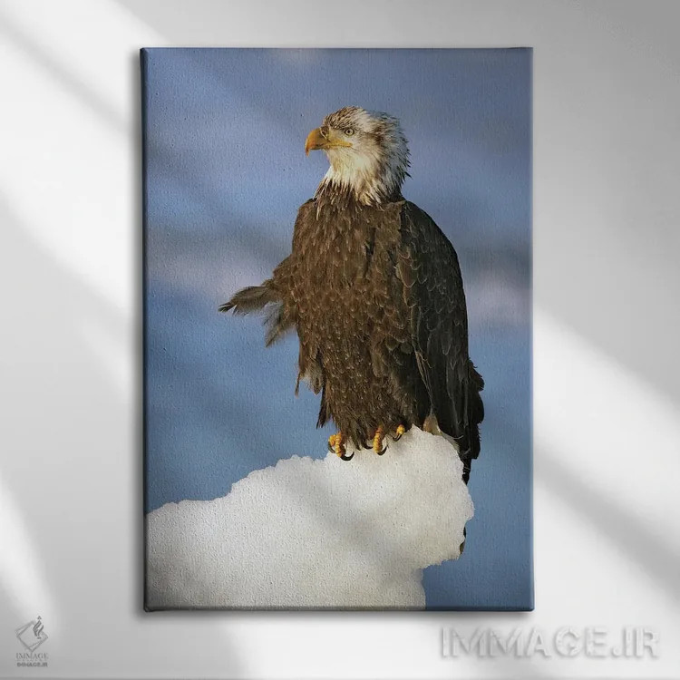 تابلو دکوراتیو عقاب ها آلاسکا ۴ اثر میگل لاسا - نمای روبهرو روی دیوار