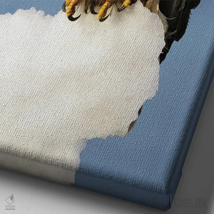 تابلو دکوراتیو عقاب ها آلاسکا ۴ اثر میگل لاسا - نمای نزدیک بافت بوم