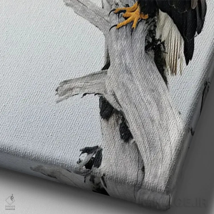 تابلو دکوراتیو عقاب ها آلاسکا ۳ اثر میگل لاسا - نمای نزدیک بافت بوم