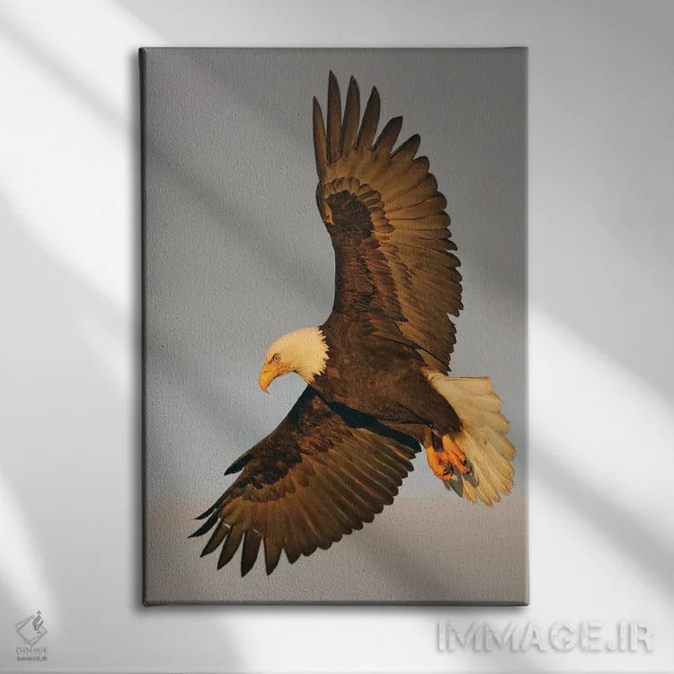 تابلو دکوراتیو عقاب آلاسکا ۱۶ اثر میگل لاسا - نمای روبهرو روی دیوار