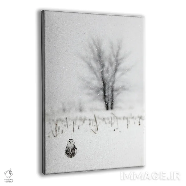تابلو دکوراتیو کانادای برفی ۲ اثر میگل لاسا - نمای پرسپکتیو محصول