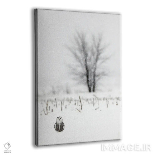 تابلو دکوراتیو کانادای برفی ۲ اثر میگل لاسا - نمای پرسپکتیو محصول