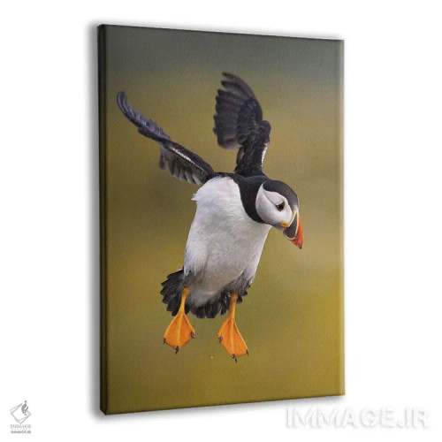 تابلو دکوراتیو پافین بریتانیا ۱ اثر میگل لاسا - نمای پرسپکتیو محصول