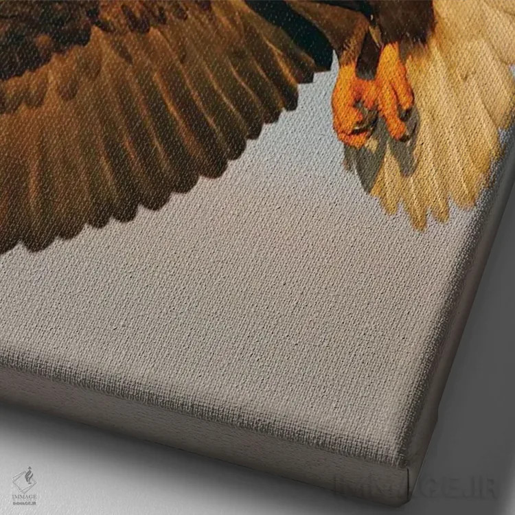 تابلو دکوراتیو عقاب آلاسکا ۱۶ اثر میگل لاسا - نمای نزدیک بافت بوم