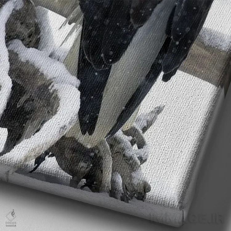 تابلو دکوراتیو عقاب آلاسکا ۱۹ اثر میگل لاسا - نمای نزدیک بافت بوم