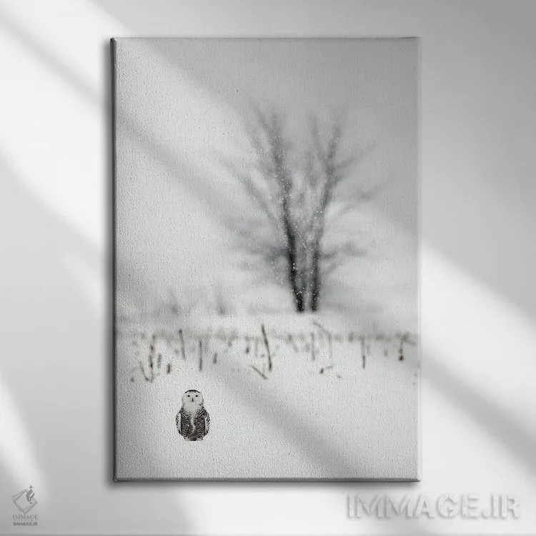 تابلو دکوراتیو کانادای برفی ۲ اثر میگل لاسا - نمای روبهرو روی دیوار