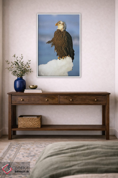 تابلو دکوراتیو عقاب ها آلاسکا ۴ اثر میگل لاسا - D2W