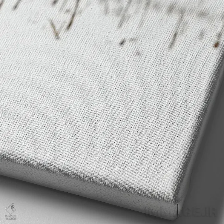 تابلو دکوراتیو کانادای برفی ۲ اثر میگل لاسا - نمای نزدیک بافت بوم