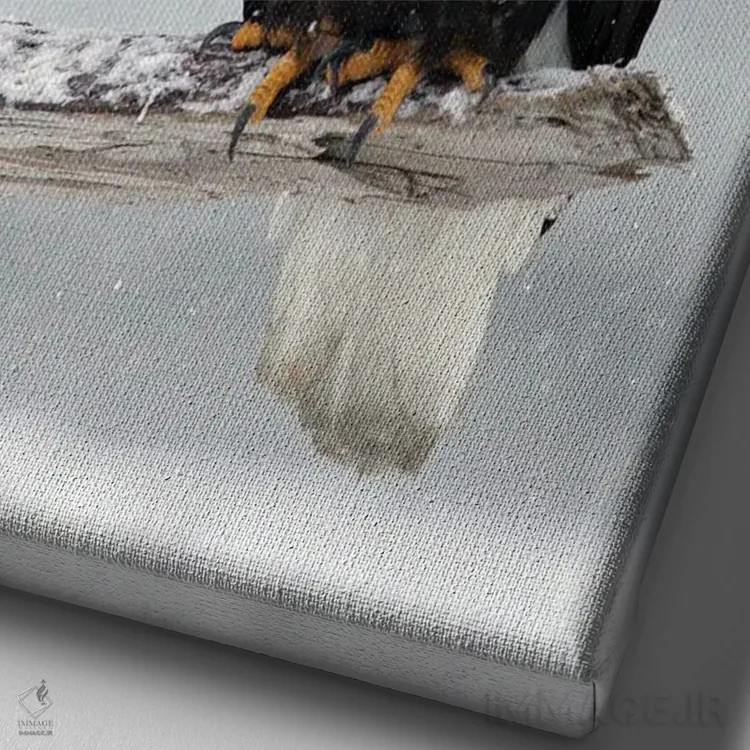 تابلو دکوراتیو عقاب برفی اثر میگل لاسا - نمای نزدیک بافت بوم