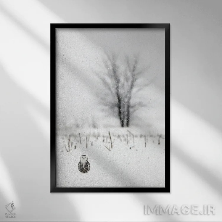 تابلو دکوراتیو کانادای برفی ۲ اثر میگل لاسا - نمای قابدار مشکی