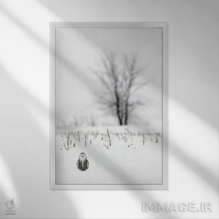 تابلو دکوراتیو کانادای برفی ۲ اثر میگل لاسا - نمای قابدار سفید