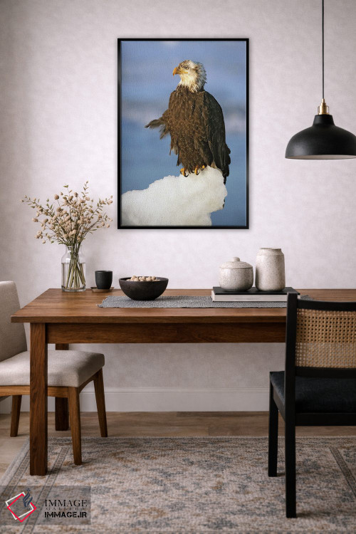 تابلو دکوراتیو عقاب ها آلاسکا ۴ اثر میگل لاسا - D4B